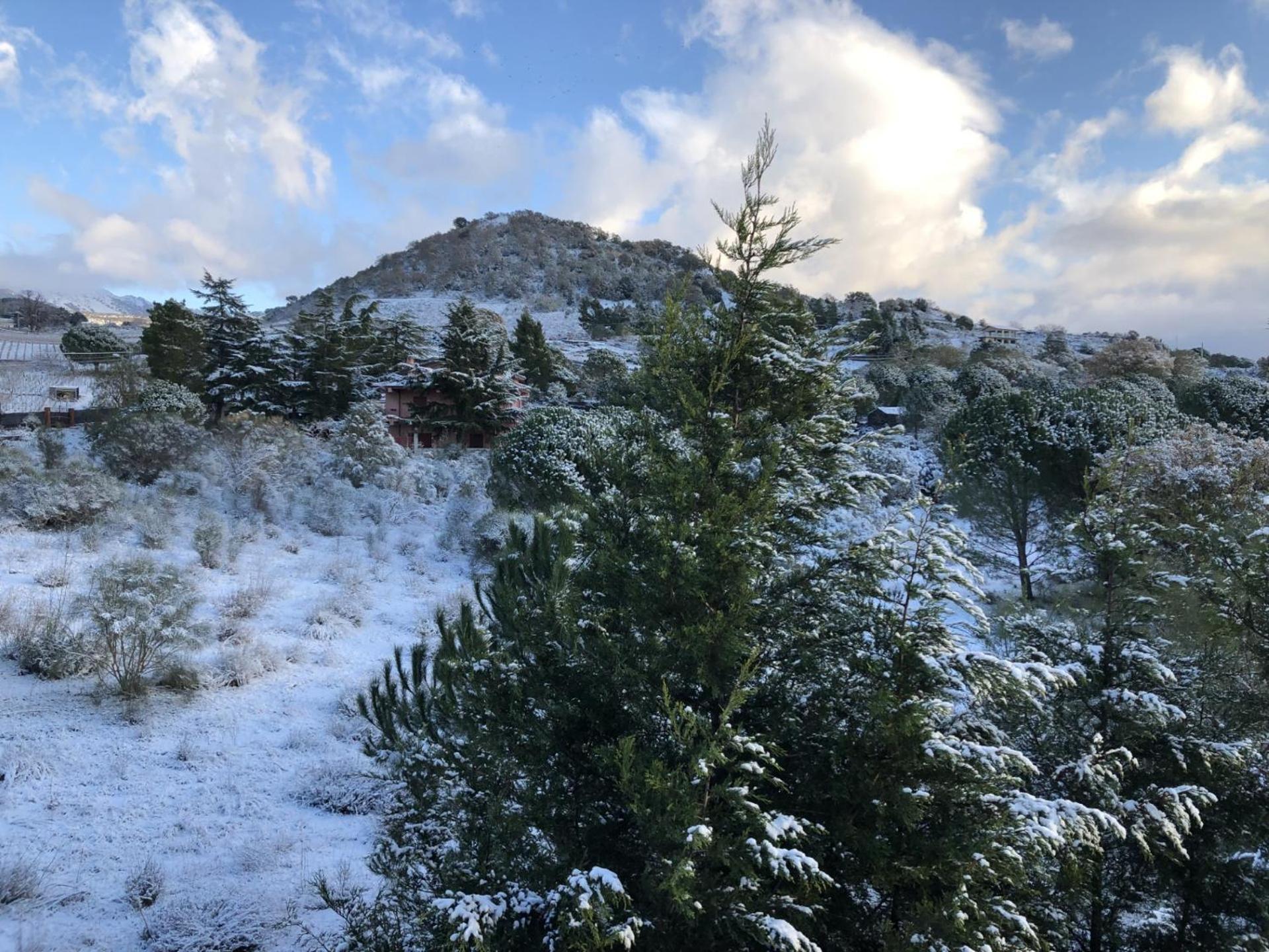 尼科洛西Etna Petit Relais住宿加早餐旅馆 外观 照片